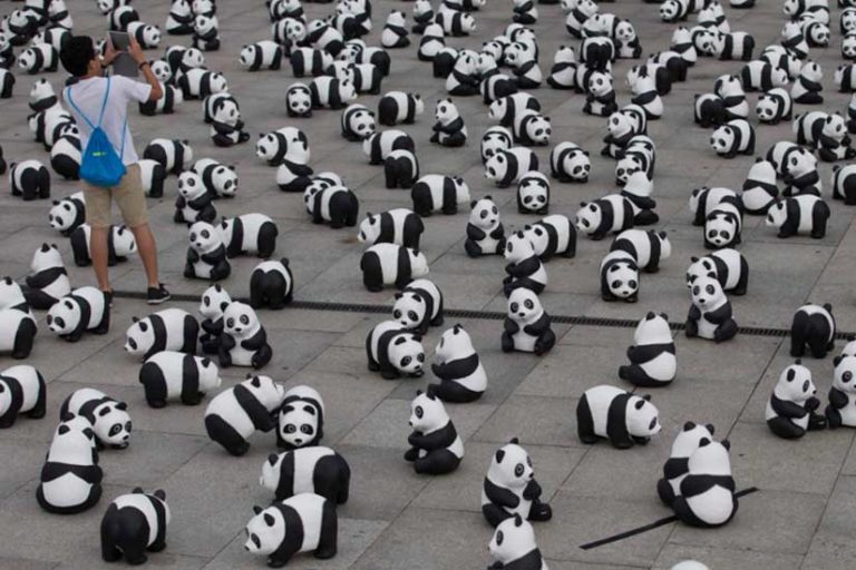 Invasão panda