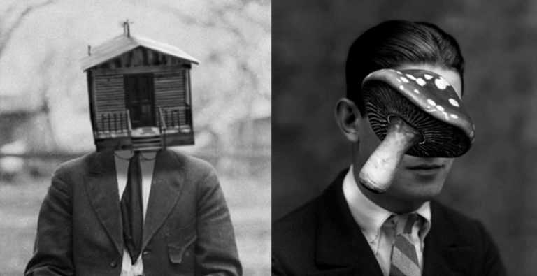 Os experimentos de Bill Domonkos