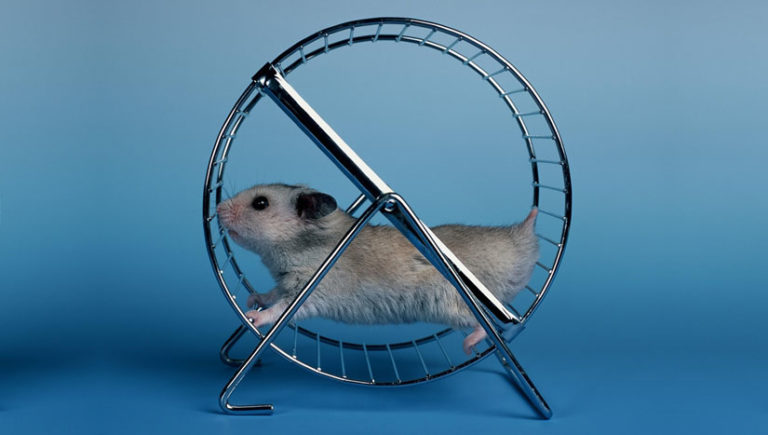 Do amor e ódio às academias de ginástica