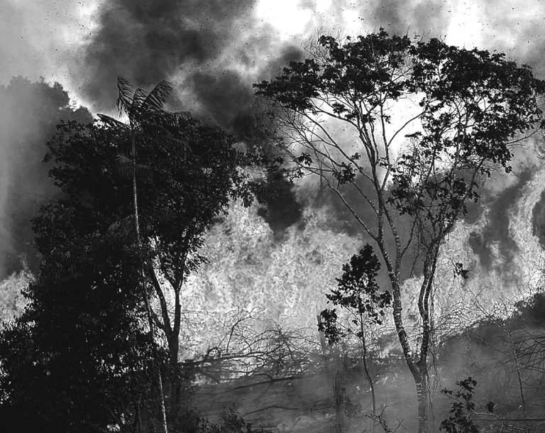 Amazônia em chamas