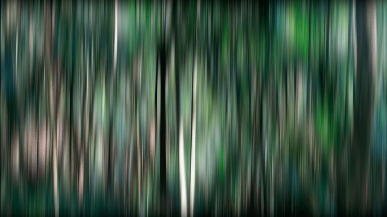 Ouvidos pensantes: qual a relação entre som, meio ambiente e saúde mental?