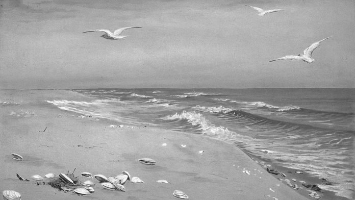 Pintura de uma praia com gaivotas e conchas na areia